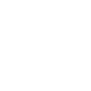Sans Depot